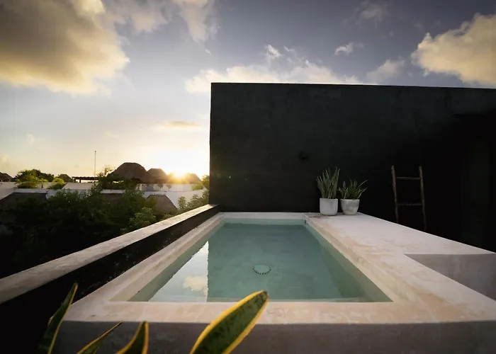 Design Luxury Villa, 3 Pools, Rooftop, Near Tulum