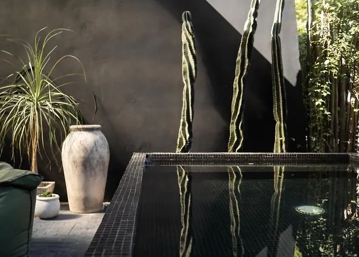 Design Luxury Villa, 3 Pools, Rooftop, Near Villa Tulum